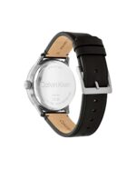 CK MINIMALISTIC PILOT - Image 4